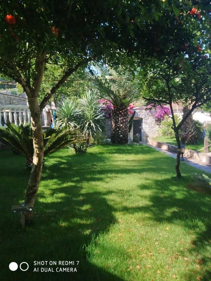 לושטיצה Villa Stella Rose מראה חיצוני תמונה